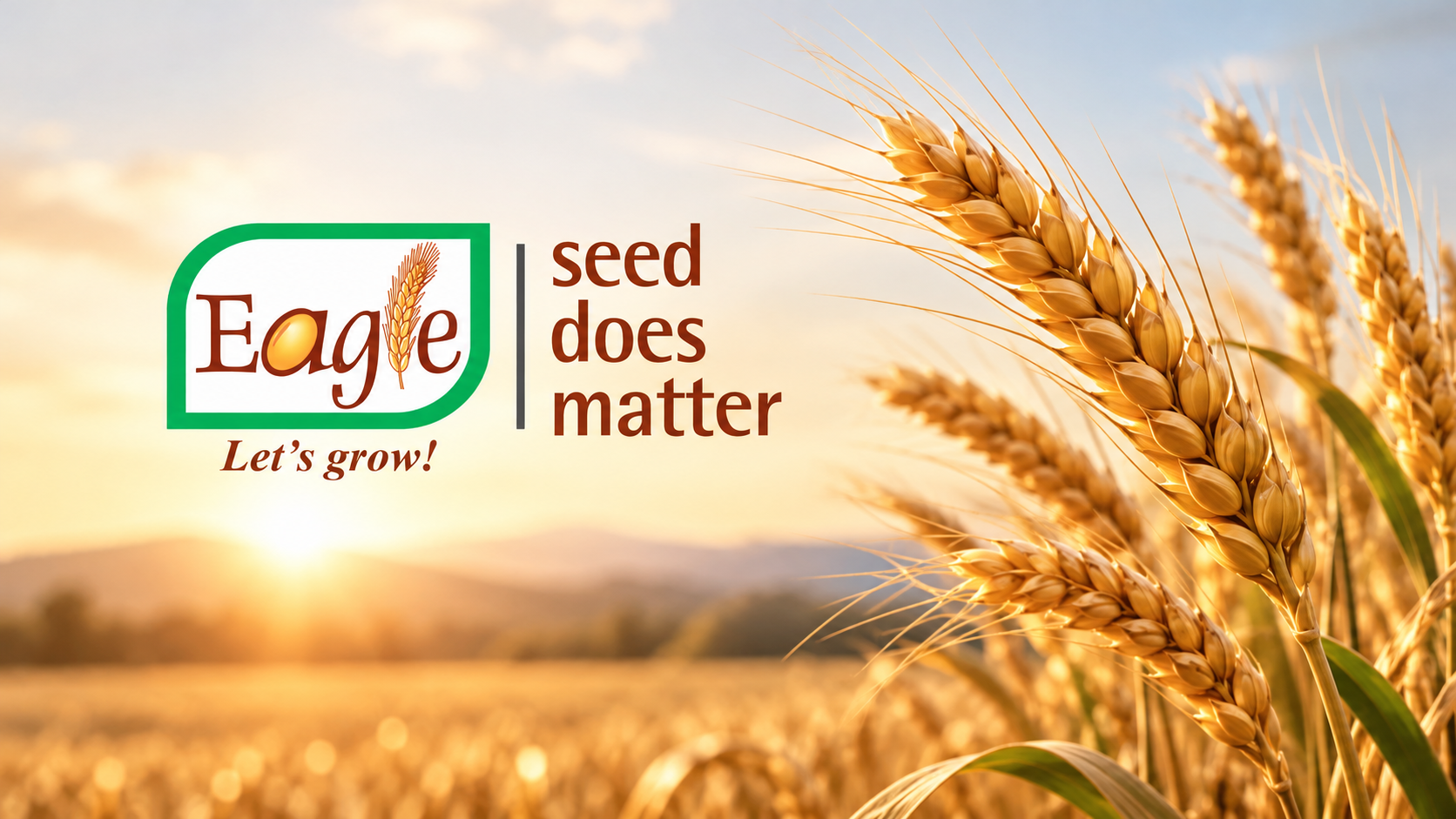 Eagle Seeds campaign thumbnail